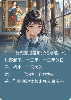 (热推新书)焚情十二载陆则骁舒晚林思语无弹窗阅读-暗夜阅读网