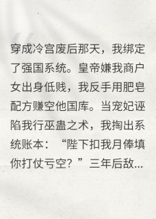 宫斗不如搞基建抖音全本小说沈璃赵衍抖音免费章节阅读