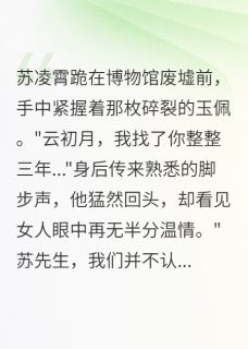 冤案三年，前女友成了我的修复师（苏凌霄云初月）精彩小说目录阅读