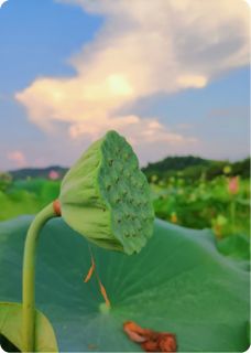 林晚傅沉舟清酒小半壶小说全章节最新阅读-暗夜阅读网