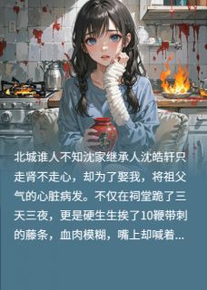 南岸无豆，红豆寄北主角是沈皓轩豆豆任晓雨小说百度云全文完整版阅读
