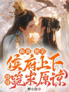和离！独美！侯府上下排排跪求原谅小说-和离！独美！侯府上下排排跪求原谅抖音小说沈婉辞周子昂