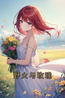 野火与玫瑰(苏清江执野)最新章节试读