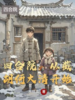好看的四合院：从截胡何大清开始小说-四合院：从截胡何大清开始最新章节阅读