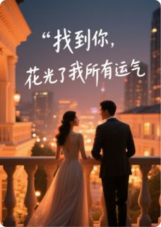 高质量小说找到你,花光了我所有运气在线试读