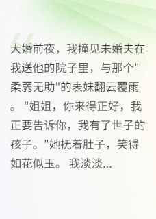 悔婚现场遇真爱，渣男跪求我不理苏羽夜凌霄苏嫣然小说全章节最新阅读