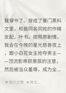 和前夫哥在镜头前装不熟在哪免费看，沈知渊叶书沈导小说章节目录阅读-暗夜阅读网