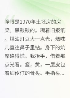 冬青林梅全集小说_重生七零，我靠知识改变全家命运完结版阅读