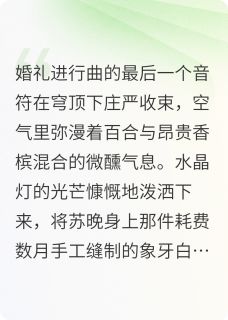 消失的她是谁是什么小说苏晚陆沉全本免费阅读