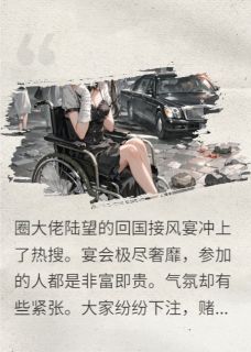 舔狗前妻陆望季凌鹤小说完整在线阅读-暗夜阅读网