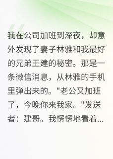 妻子和我兄弟的秘密被我录下了林雅王建赵敏小说全章节最新阅读