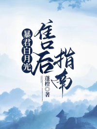 主角是刘铮刘昭的小说叫什么暴君白月光售后指南免费全文阅读