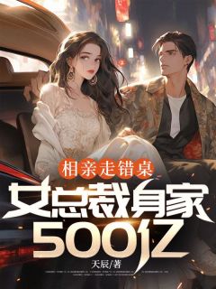 相亲走错桌，女总裁身家500亿(天辰小说)小说最新章节