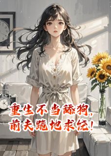抖音爆款小说重生不当舔狗，前夫跪地求饶！宋延沈淮秦晚免费txt全文阅读-暗夜阅读网
