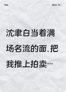 沈聿白柳依依小说结局