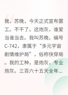 猛炫冰西瓜写的小说快穿：炮灰拒绝营业在线阅读