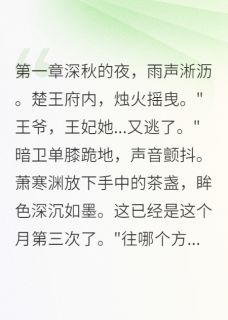 权臣的替身王妃是什么小说萧寒渊苏晚晚全本免费阅读