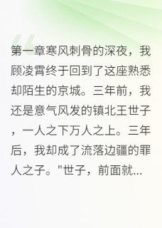 (独家)镇北王世子的复仇之路林风李渊明凌霄小说-暗夜阅读网