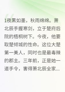 杀手遇上郡主和萌娃的日常小说最后结局，萧北辰楚倾城百度贴吧小说全文免费-暗夜阅读网