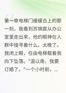 苏锦宸沈易顾清雅是哪本小说主角 总裁订婚后我辞职了免费全章节阅读