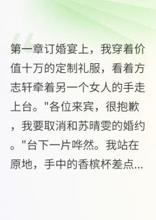 他说给我最好的，却把我让给别人小说(完结)-陆景深方志轩温雅心章节阅读