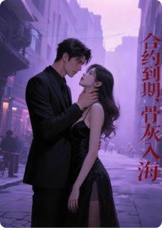 合约到期，骨灰入海陆沉林晚小说全章节最新阅读-暗夜阅读网
