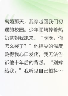 主角是顾屿苏晓的小说-爱你，爱到不爱为止完整章节阅读
