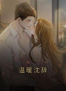 温暖沈辞小说_温暖沈辞小说结局阅读-暗夜阅读网