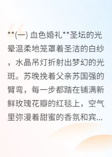 苏晚苏晴沈聿是哪本小说主角 涅槃：深海暗涌免费全章节阅读
