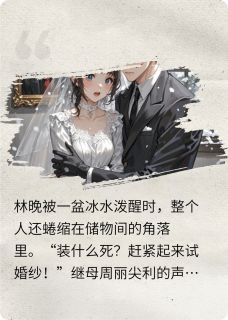 林晚陆沉小说哪里可以看 小说替身新娘∶总裁的复仇陷阱全文免费阅读-暗夜阅读网