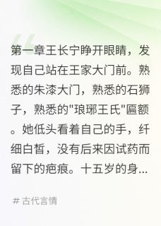 王长宁韩文中小说<朱颜劫：重生之毒医天下>全文在线阅读-暗夜阅读网