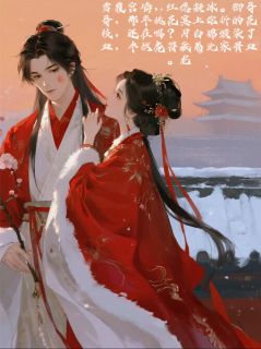 朱墙雪，故人心小说(完本)-虎符惊鸿桃花无错版阅读