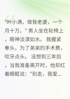 陈瑾言小安小满小说抖音热文契约老公竟是装残疾完结版