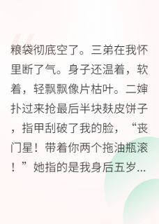 主角承安小满王翠花小说，逃荒路上，我靠签到系统养活全族免费阅读全文-暗夜阅读网