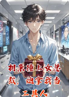 作者南派陆青玄写的相亲撞上女总裁，她拿我当工具人小说大结局全章节阅读-暗夜阅读网