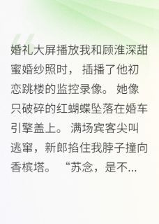 抖音葬礼上的笑容小说章节阅读