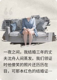 丈夫消失后，我被送进了精神病院小说最新章节-主角沈舟林薇全文免费阅读-暗夜阅读网