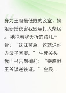 废妾血书告御状，王爷跪求我饶命周清雅梁王大结局在线阅读
