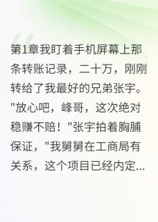 张宇张磊全集小说_兄弟骗我钱开店我举报他坐十年牢完结版阅读-暗夜阅读网