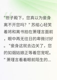 侧妃出逃，世子殿下疯了小说在线阅读，主角萧瑾言绾心精彩段落最新篇