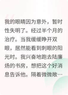热门推荐一场自导自演的救赎骗局byxfoyikk小说正版在线