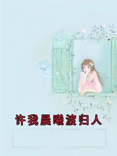 许我晨曦渡归人免费阅读全文，主角宋怀曦程树阳小说完整版