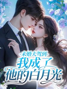 未婚夫驾到，我成了他的白月光时羡鱼顾淮序免费全章节目录阅读-暗夜阅读网