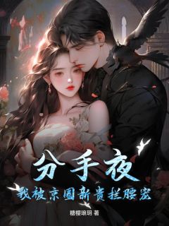 姜眠傅宴霆小说全文免费阅读分手夜,我被京圈新贵拦腰宠!全文免费阅读