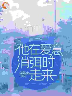 他在爱意消弭时走来小说(完结版)-阮宜宁霍庭澜在线阅读