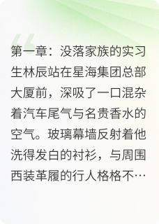 林辰凯伦小说章节目录阅读-职场星途：从实习生到商业巨擘在哪免费看