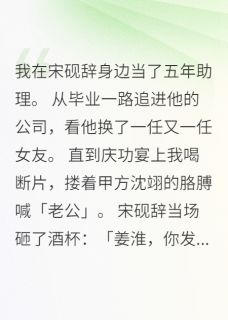 主角姜淮沈翊宋砚辞小说完整版最新章节-爱恋的回响免费阅读全文