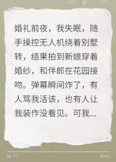婚礼当天直播她出轨(新书)小说_沈翊林雨晴陈锐阅读-暗夜阅读网