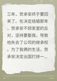 值得熬夜看完的离婚后，贺先生后悔了小说阅读