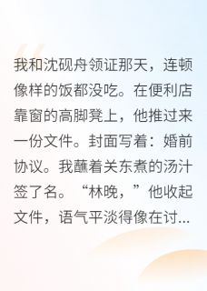 闪婚对象，竟然是公司新来的总裁小说百度云完整章节列表免费阅读-暗夜阅读网